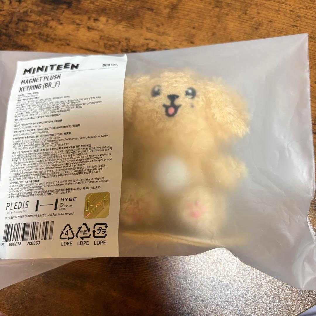 SEVENTEEN MINITEEN DOA ドア マグネットキーリング - メルカリ