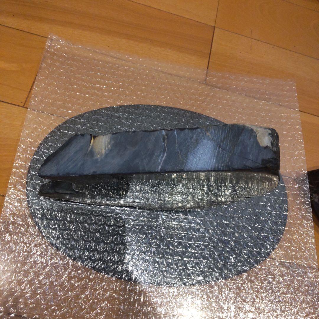 化石(樹木)6月 価格