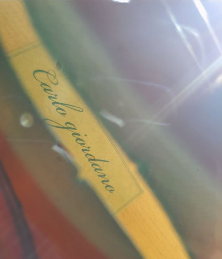 Carlo giordano カルロ ジョルダーノ バイオリン 4/4 VS-1