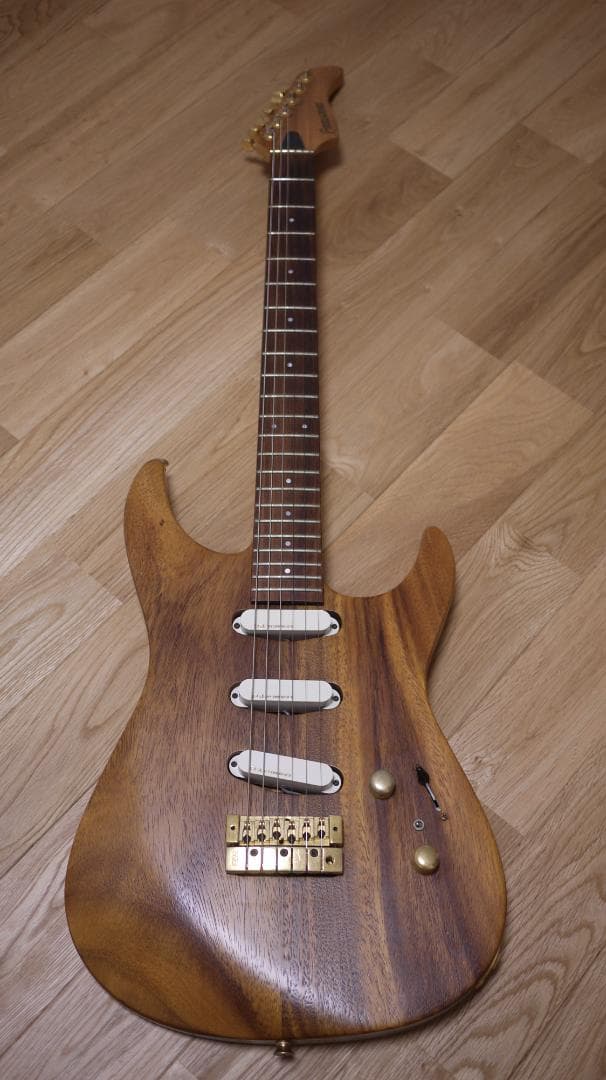 FERNANDES REVOLVER FR-100 モンキーポッド