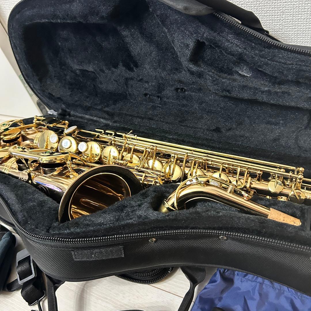 ブロンズ【美品】Festi Tiara A アルトサックス　島村楽器　ベトナム製