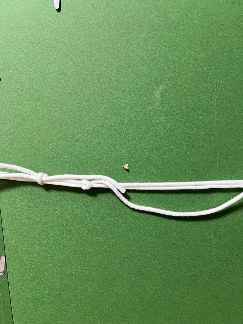 Gil Elvgren ギル・エルブグレン　ピンナップ　アート　額装