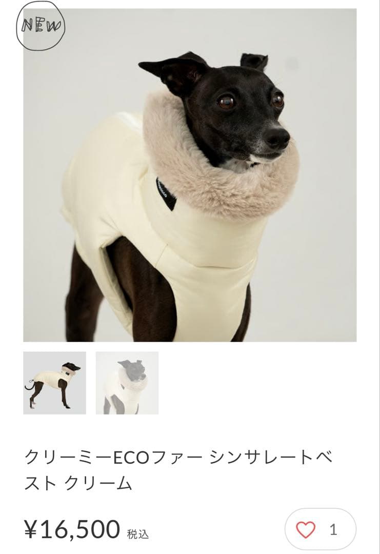 hashilcco イタグレ服ベストSサイズ hashilcco イタグレ服ベストS