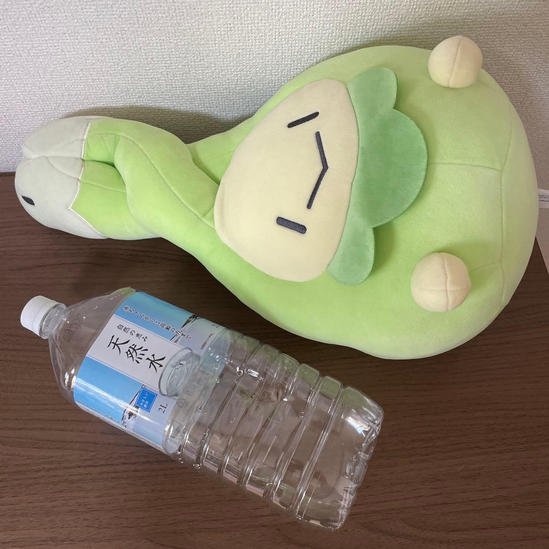 もっちりっちぬいぐるみ スボミー　ポケモンセンター