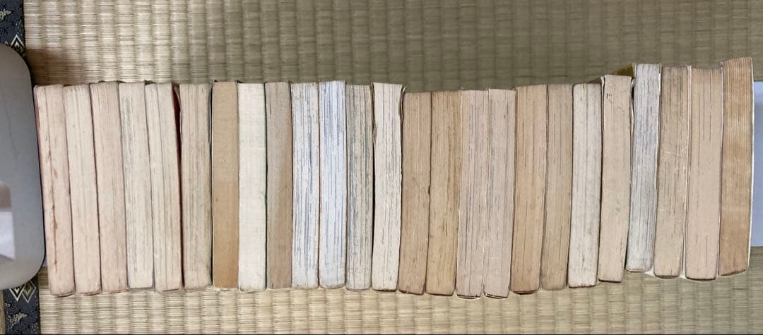 少女コミック 新書版まとめて25冊 西谷祥子 藤井由美子 忠津陽子 山本