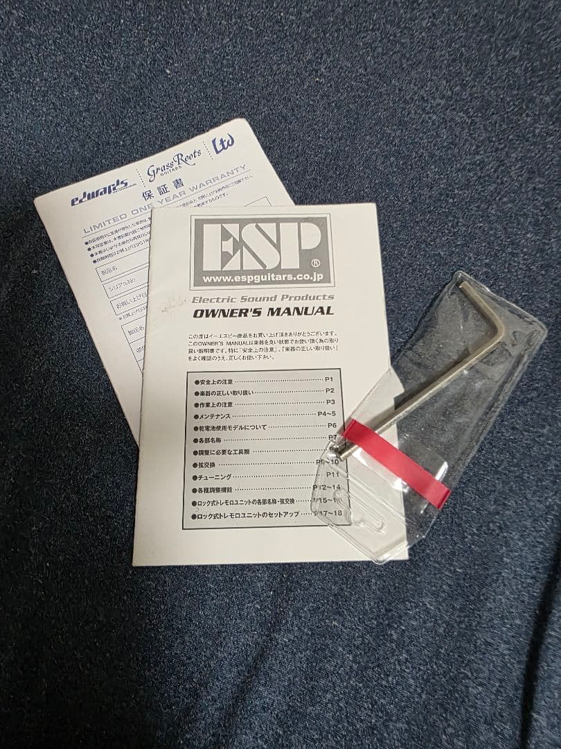 最終値下げ！ 期間限定価格！ランダムスター ESP×バンドリ コラボギター