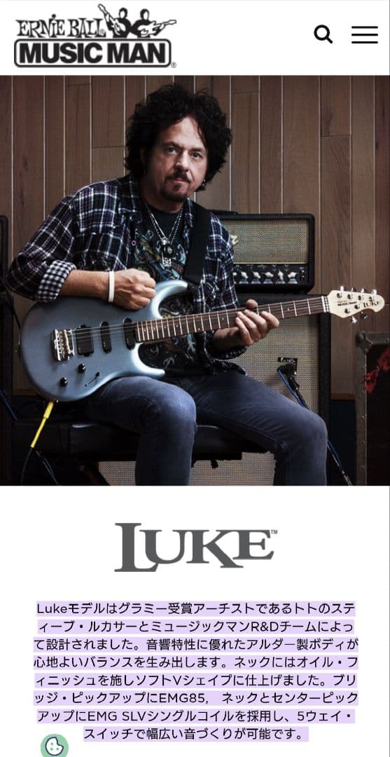 【激レア❗️】Music Man Luke エレキギター カスタム塗装