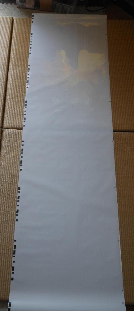 【破れ・補修あり】JR西日本289系側面方向幕