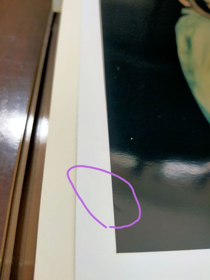 椎名林檎　直筆サイン入り特大ポラロイド写真