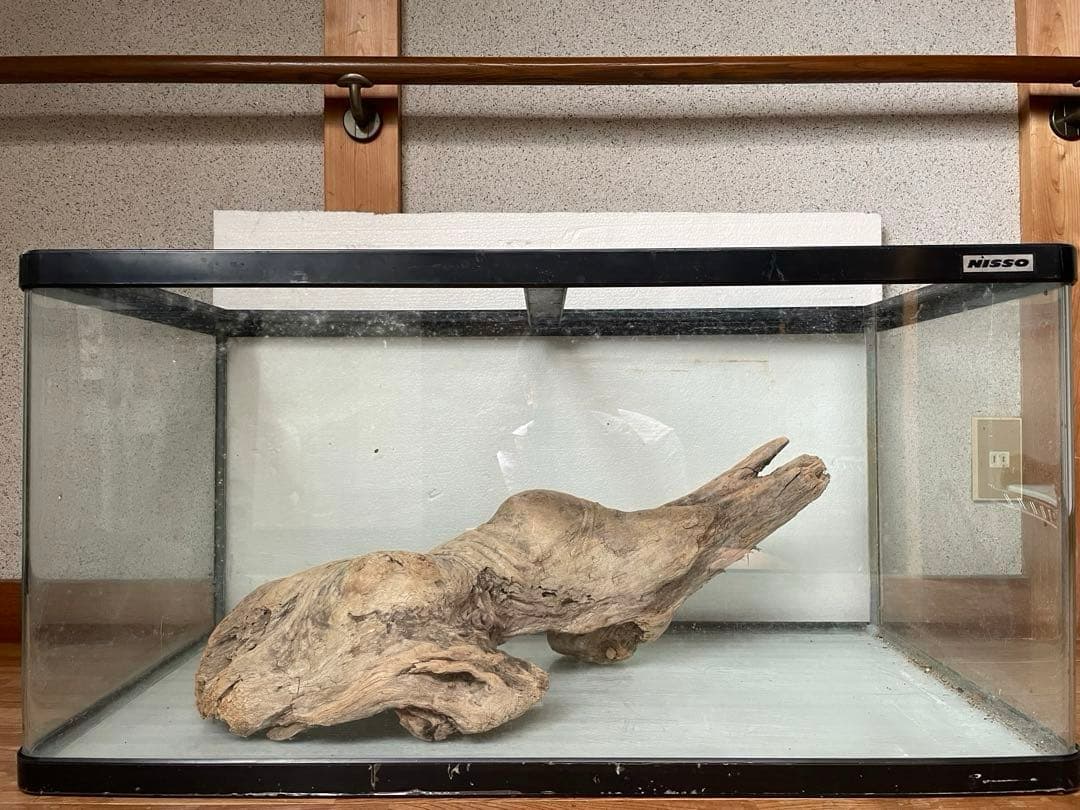 超大型　☆アクアリウム　生花　テラリウム 爬虫類　天然流木 ホーンウッド　⭐︎