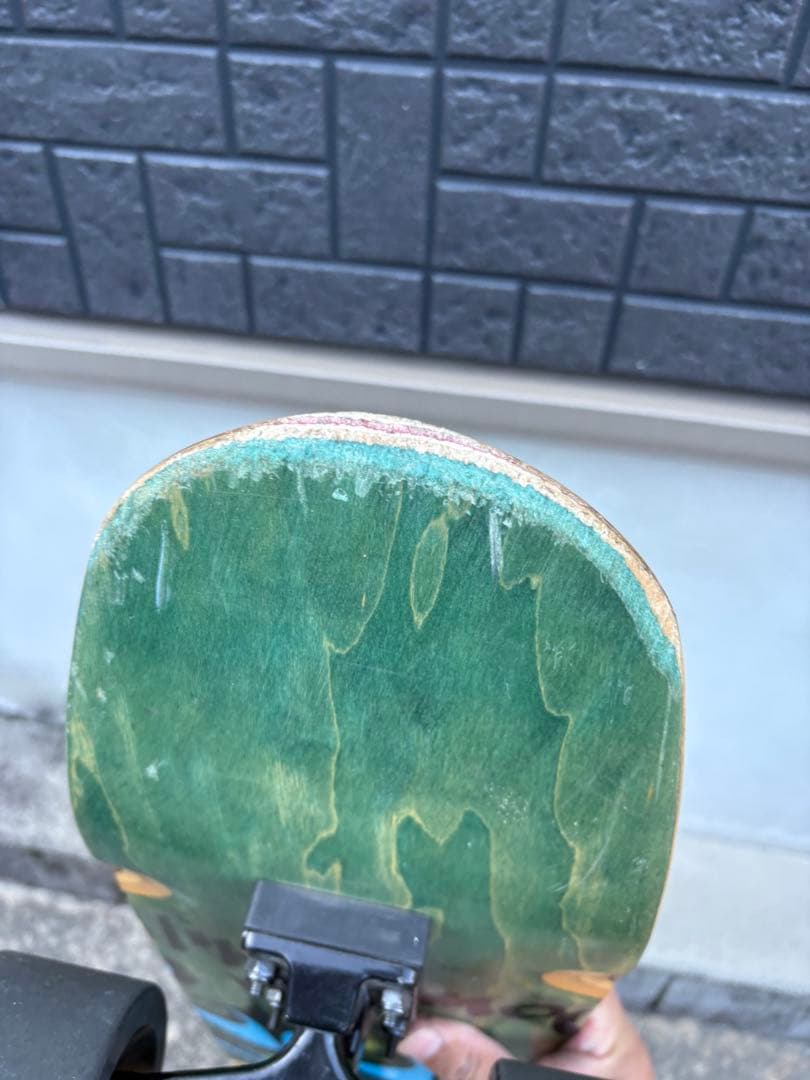 Z-FLEX ニセコダウンチル　クルーザー