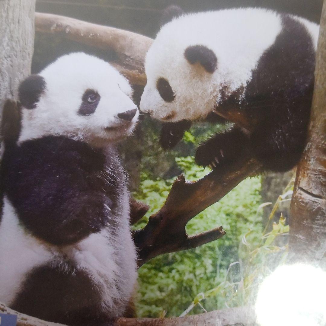 シャオシャオ&レイレイおはなし