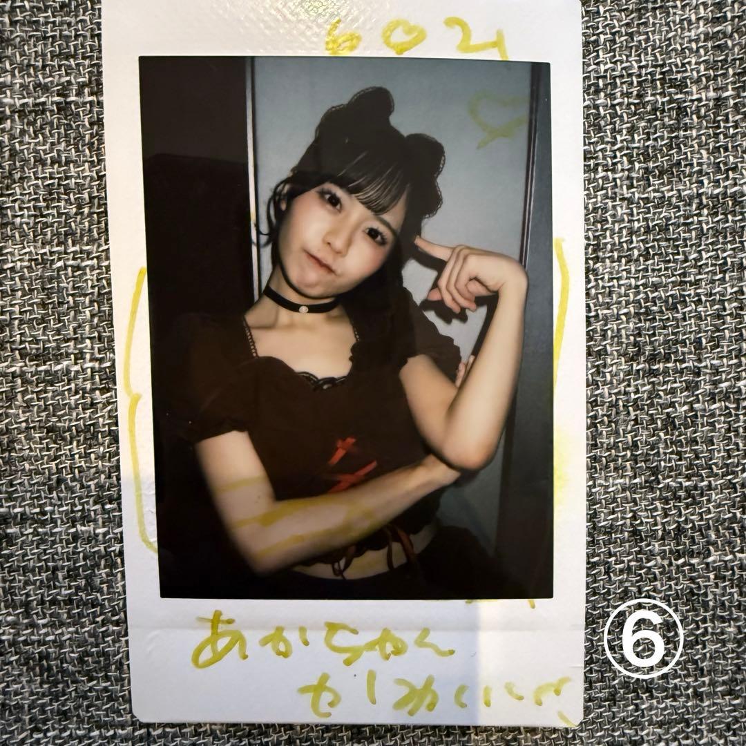 iLiFE 福丸うさ チェキ - メルカリ