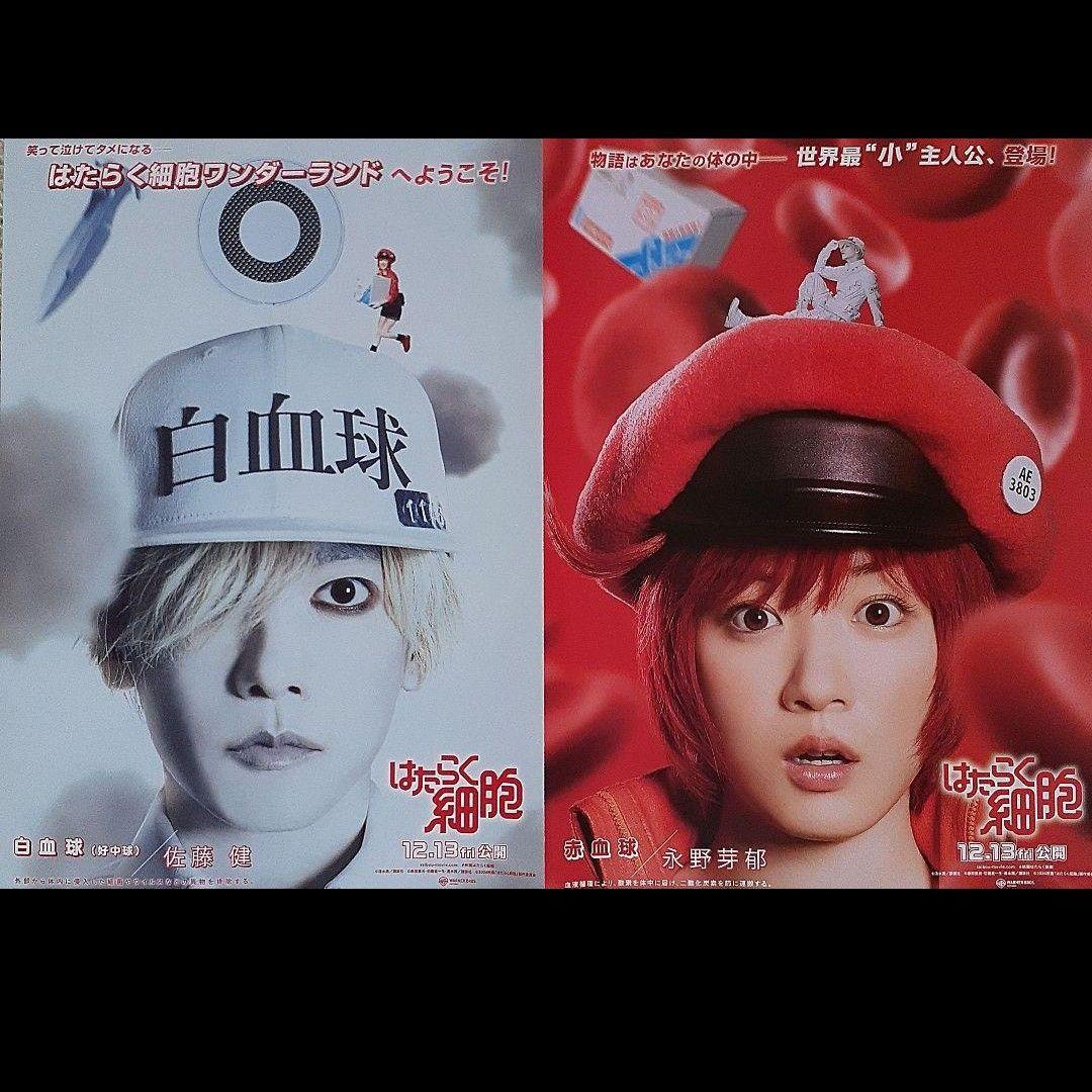 はたらく細胞　レッドカーペットイベント　永野芽郁　佐藤健　直筆サイン　おまけ付