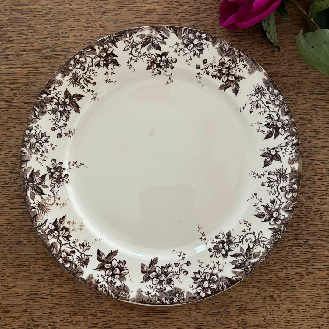 サルグミンヌ窯ALPHANDプレート