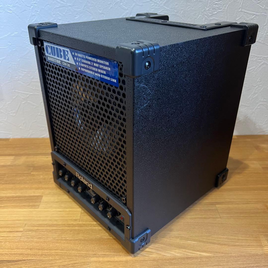 Roland Cube Monitor 30W CM-30 ローランド