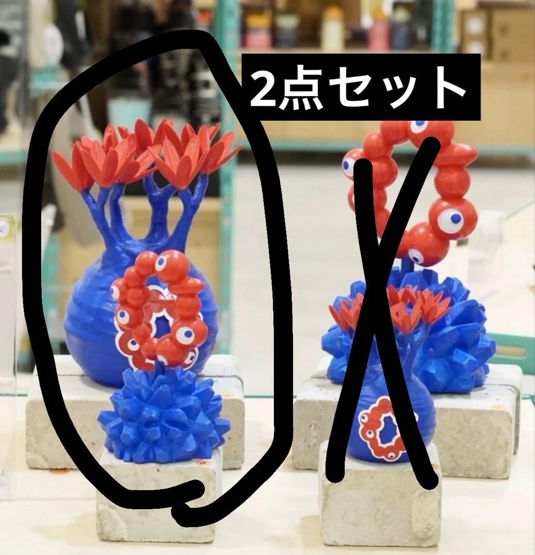 LOBINDON ロビンドン ミャクミャク グラキリス 亀甲竜 塊根 - メルカリ