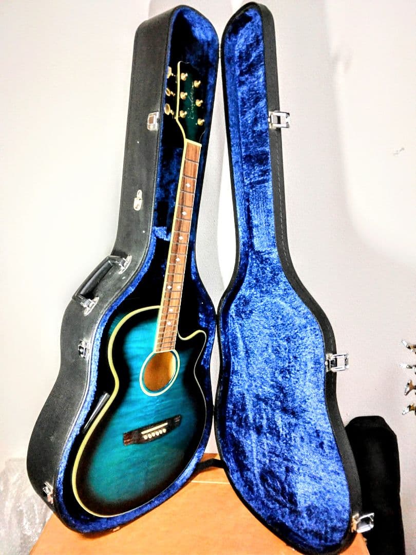 Nagi Guitars shiro アコースティックギター ケースおまけ付き