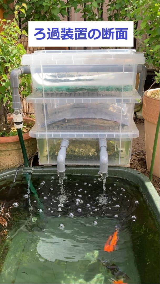 RA様】三段式外部ろ過装置（個人製作濾過装置）【メダカ・金魚・錦鯉の