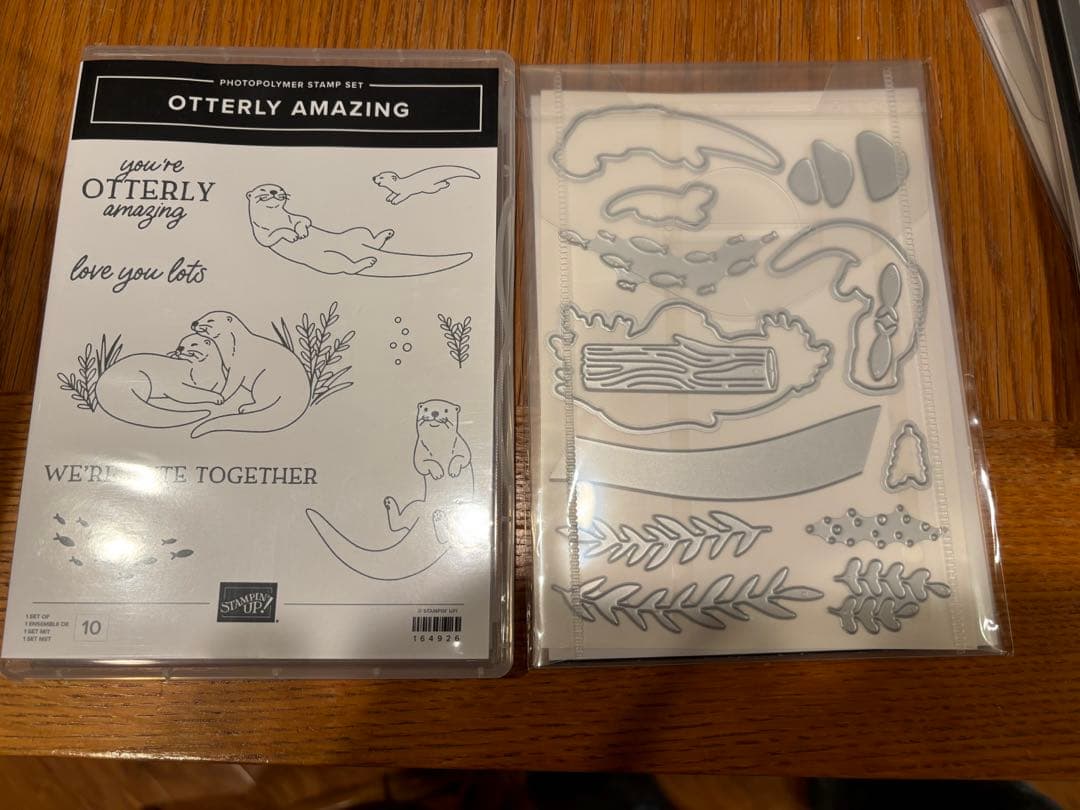 お値下♡未使用1点限定新作可愛いカワウソスタンピンアップ スタンプ