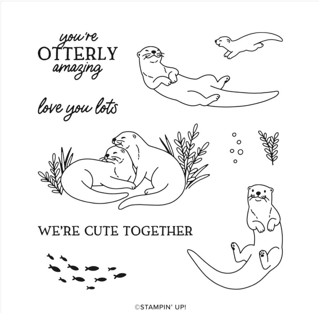 お値下♡未使用1点限定新作可愛いカワウソスタンピンアップ スタンプ