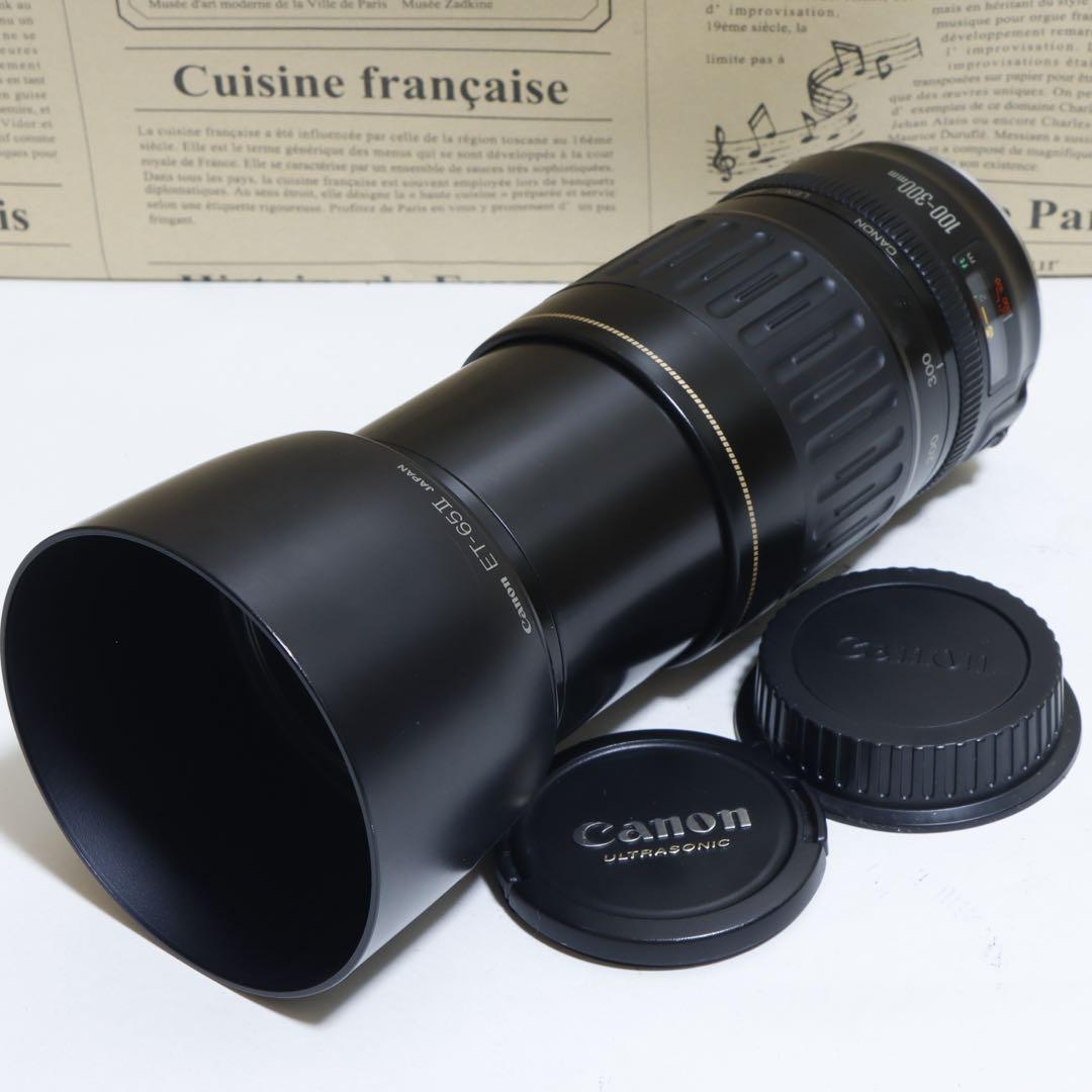 ◇超望遠&高速AF◇Canon純正 300mm 望遠レンズ!!◇