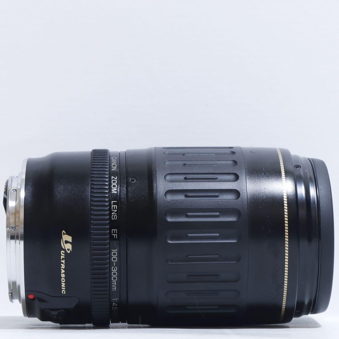 ◇超望遠&高速AF◇Canon純正 300mm 望遠レンズ!!◇