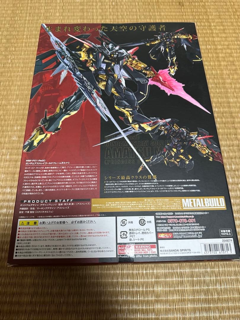 メタルビルド　天ミナ