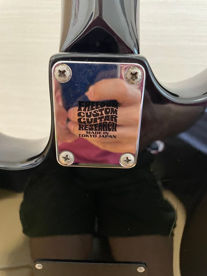 FERNANDES THE FUNCTION ストラト ブラック