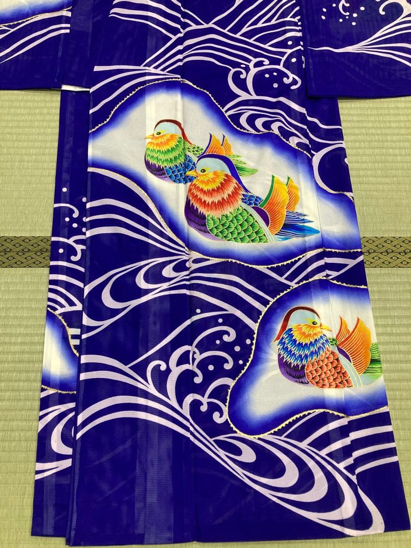 希少 夏用振袖 絽