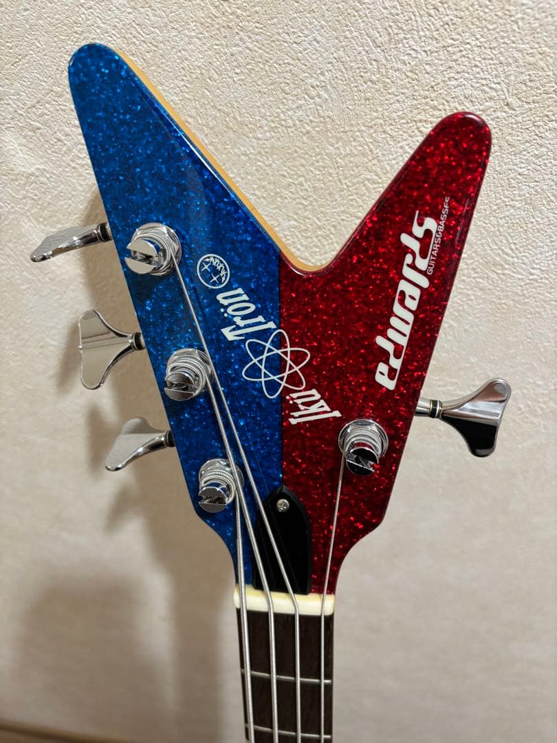 EDWARDS E-RM-105DA IKUZONEモデル IKUTRON - メルカリ