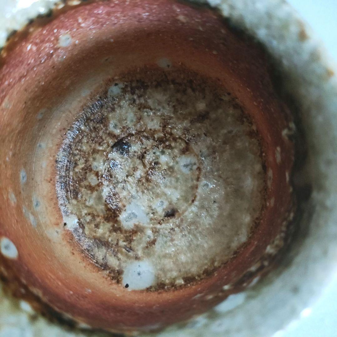 修験法螺貝43cm※購入前コメント必須