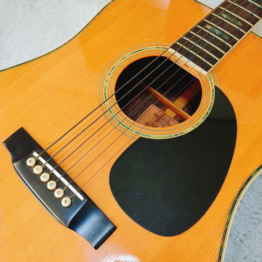 ARIA W-30D アコースティックギター ドレッドノート ARIA W-30D 音出し