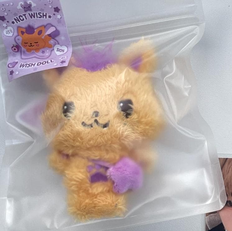 NCT WISH WISH DOLL steady ぬいぐるみ シオン ba - メルカリ