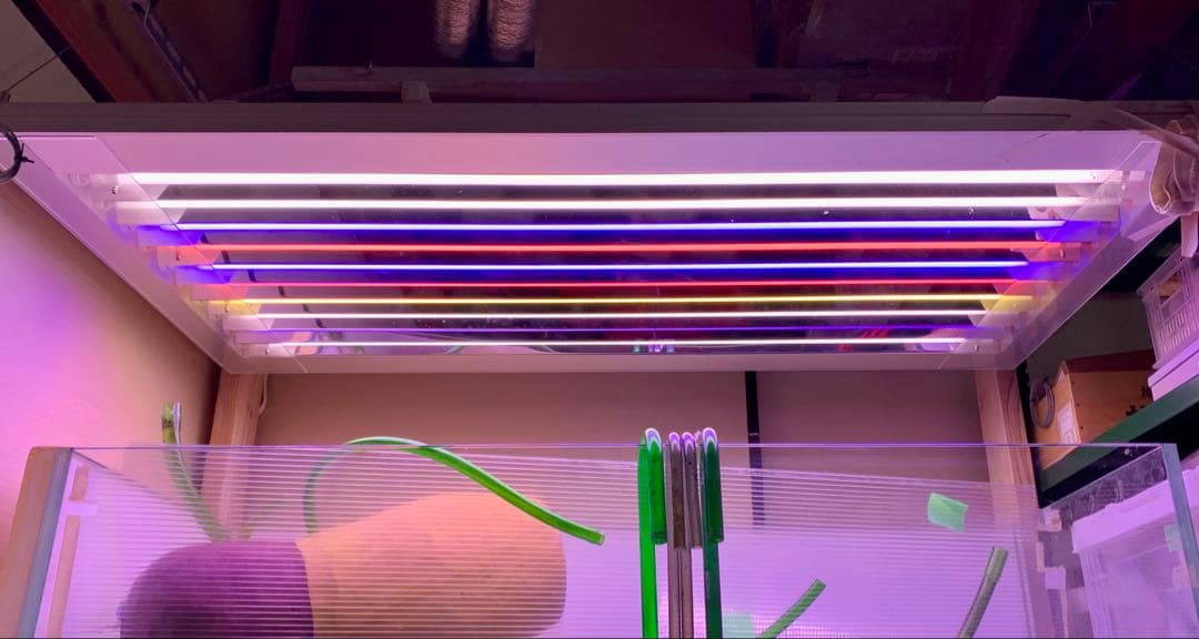 KZ Coral Light t5 アクアリウムライト ⭐️ADA 水槽にどうぞ