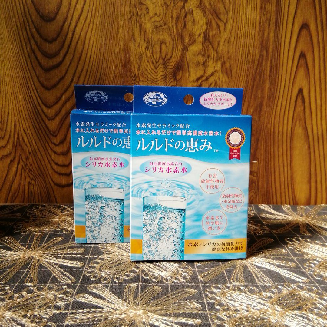 エコロインターナショナル ルルドの恵み シリカ水素水2個セット