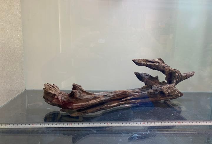 ADAホーンウッド14本