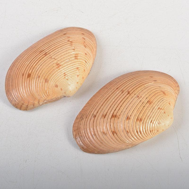 茶道具　正孝作　御所車絵　貝合わせ香合　堀内宗完(兼中斎)極め箱　C　6739