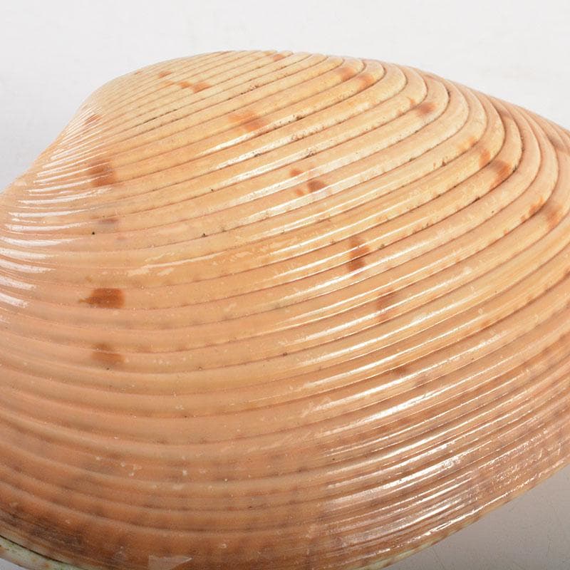 茶道具　正孝作　御所車絵　貝合わせ香合　堀内宗完(兼中斎)極め箱　C　6739