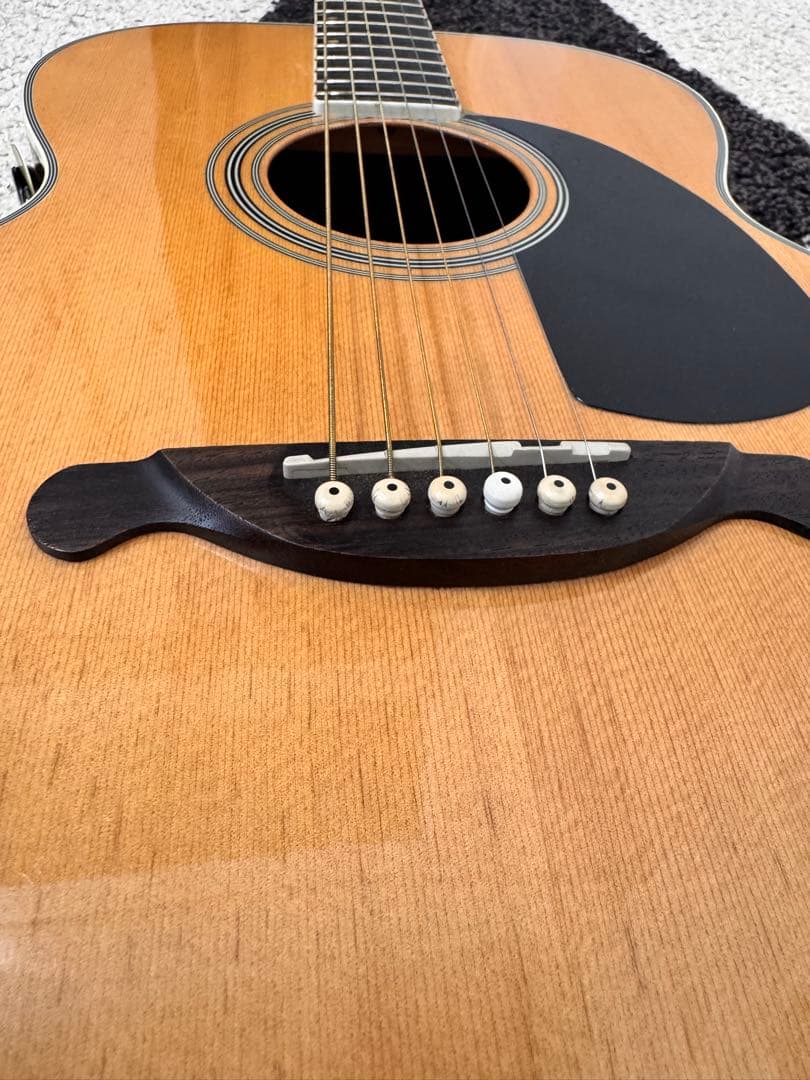 お得】James JF350NAアコースティックギター ハードケース付き - メルカリ