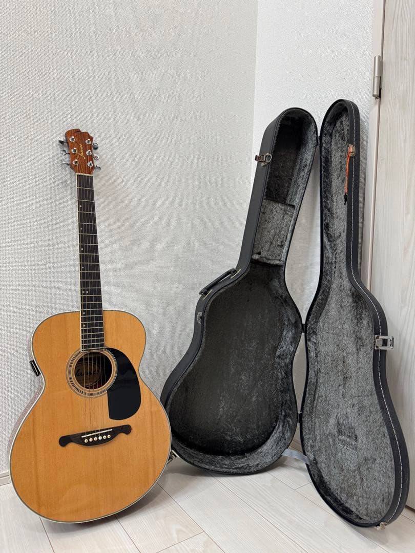 お得】James JF350NAアコースティックギター ハードケース付き - メルカリ