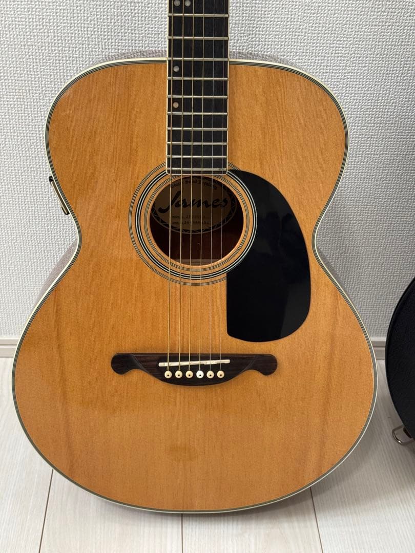 お得】James JF350NAアコースティックギター ハードケース付き - メルカリ