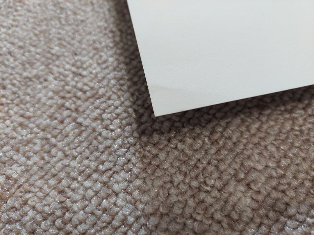 Adrian Tomine \"A.C.\" ポスター サイン&シリアルナンバー入り