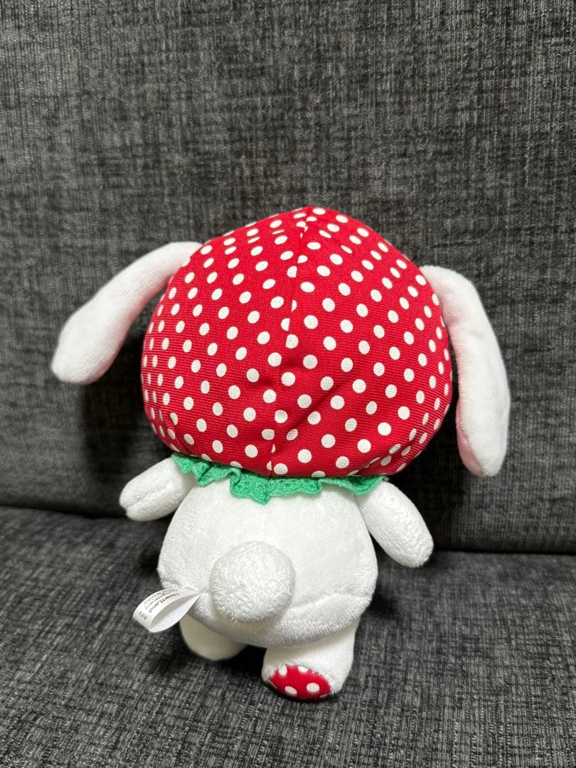 シュガーバーニーズしろうさ