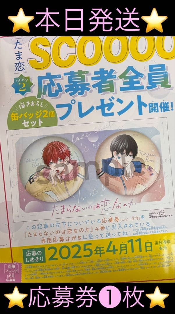 たまらないのは恋なのか缶バッジ別冊フレンド応募者全員プレゼント10セット