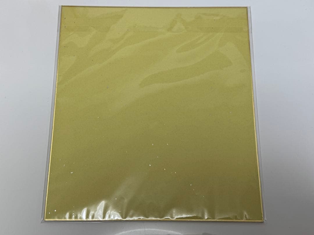 邪神ドロップキック 直筆サイン 色紙 田中美海 ランラン