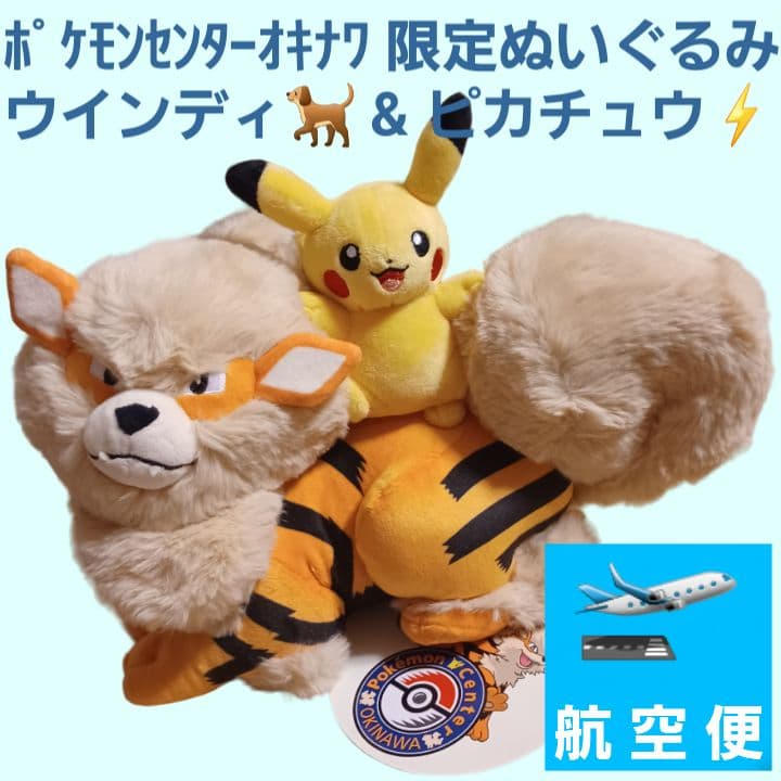 ポケモンセンターオキナワ限定 ウインディとピカチュウぬいぐるみ 入手