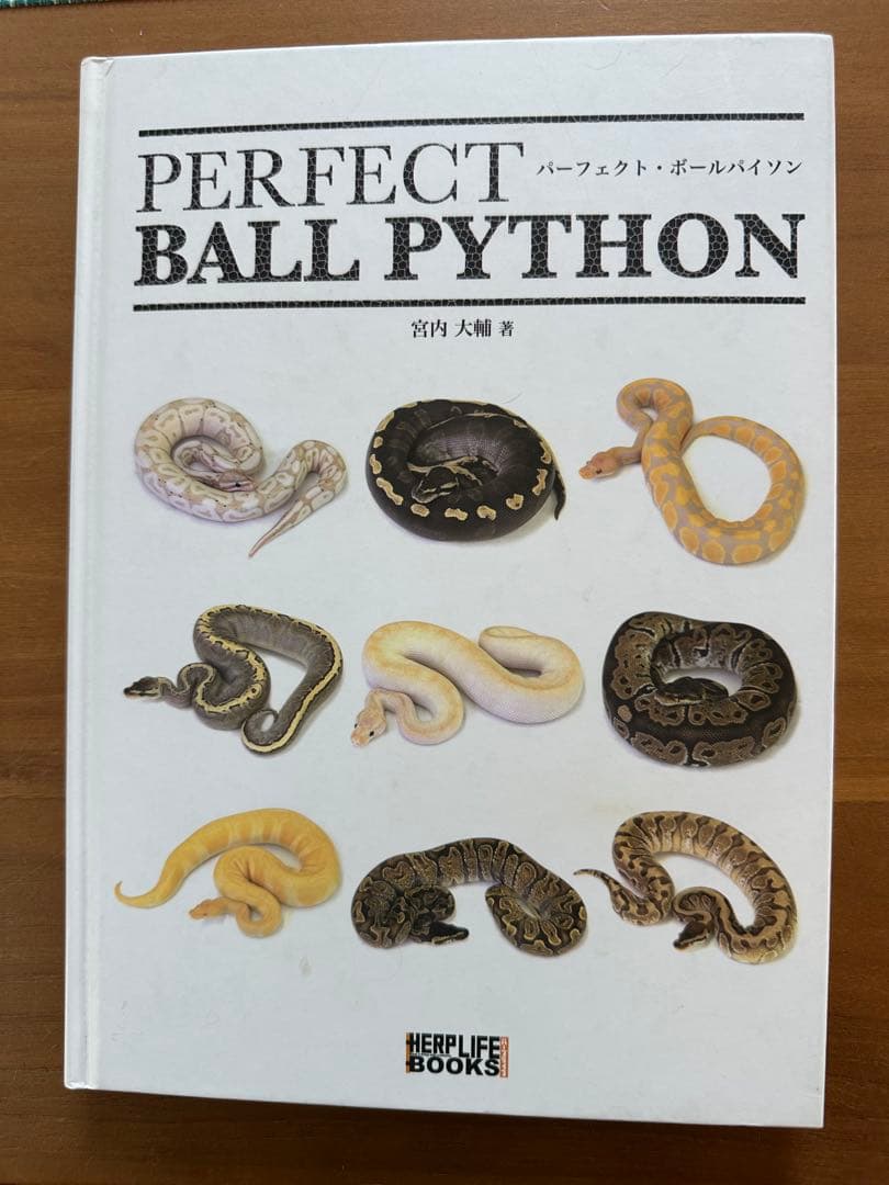 パーフェクト ボールパイソン PERFECT BALL PYTHON