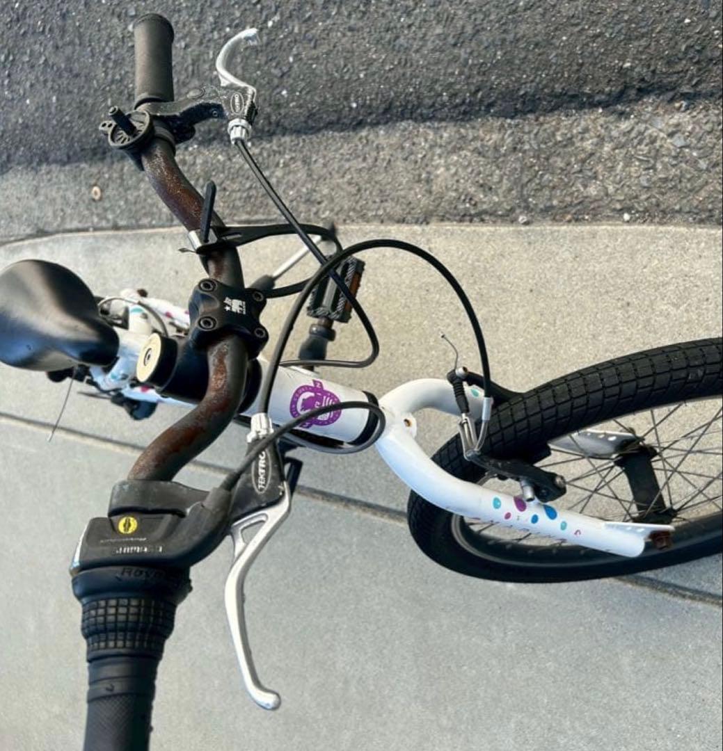 【20インチ】MARIN 2019年モデル DONKY Jr ドット 子供用