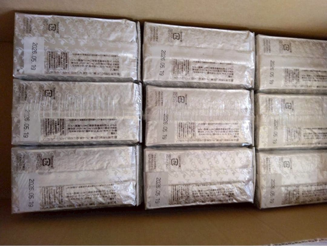 MTG 逸失への恐怖 日本語 4枚セット